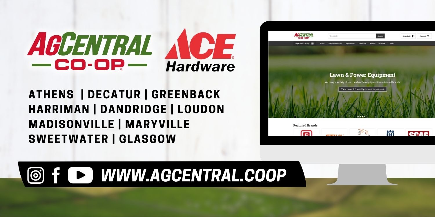 Footer Banner