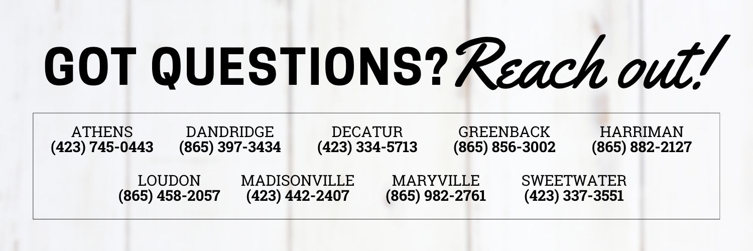Graphic Banner